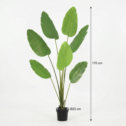 ARTIFICIAL Strelitzia Nicolai - 170cm 