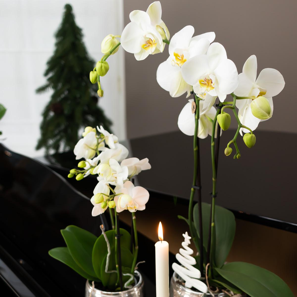 Luxuriöser Blumentopf Silber – Keramik Ziertopf Ø9cm – Eleganter Pflanzkübel für Zimmerpflanzen – Moderner Übertopf mit glänzender Oberfläche 