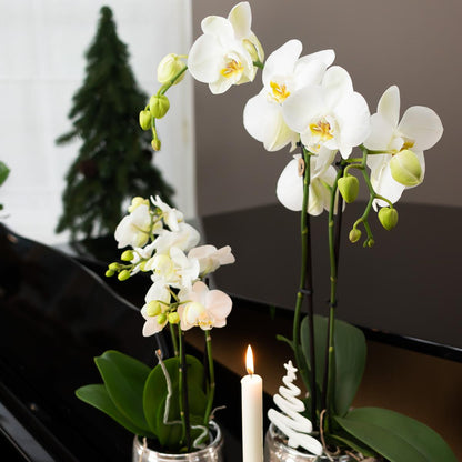 Luxuriöser Blumentopf Silber – Keramik Ziertopf Ø9cm – Eleganter Pflanzkübel für Zimmerpflanzen – Moderner Übertopf mit glänzender Oberfläche 