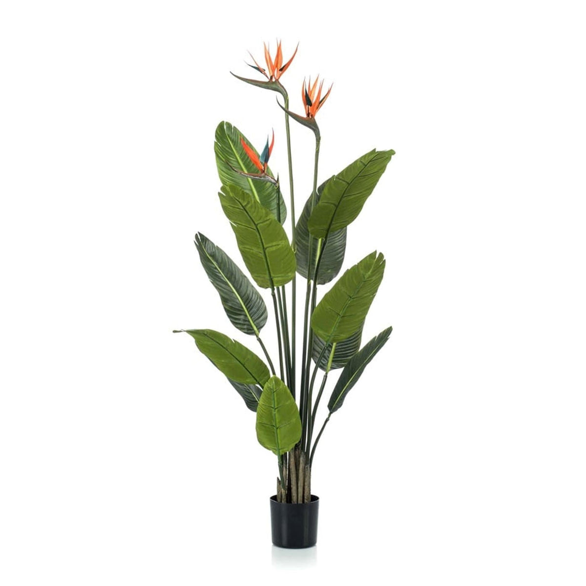 Strelitzia mit Blüten – 120cm – Kunstpflanze im schwarzen Topf – tropischer Blickfang – hochwertige Dekopflanze für Wohnzimmer, Büro & Flur – pflegeleicht 