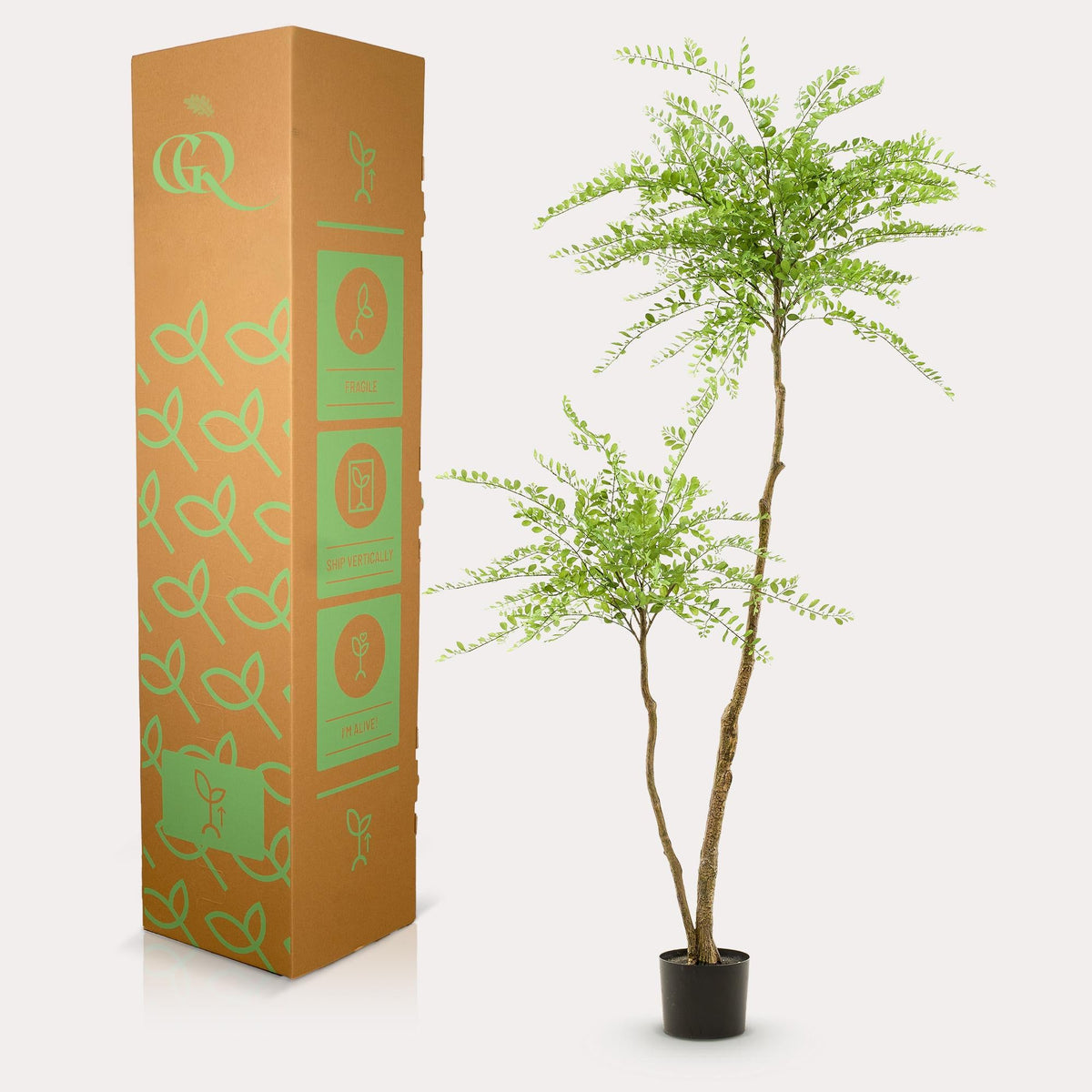 Kunstpflanze Sophora Baum – Honingbaum – 190 cm – Dekorativer Zimmerbaum – Pflegeleicht – Wohnzimmer, Büro & Flur 