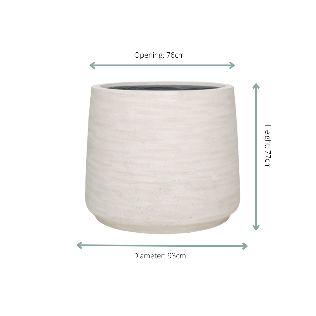 Jumbo Patt Ivory Washed - D93xH77 