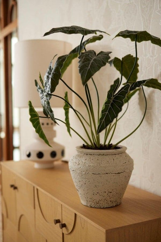 Alocasia Kunstpflanze 80cm – Tropischer Blickfang in Grün – Pflegeleicht & Realistisch – Ohne Gießen – Für Wohnzimmer, Büro & Gastronomie 
