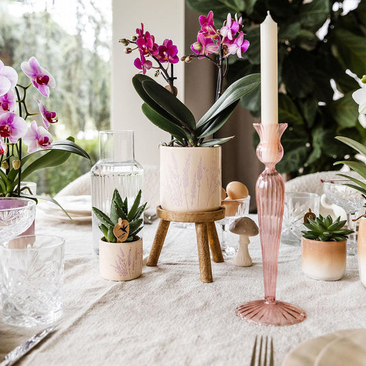 Blumentopf - Lavendel - 6cm 