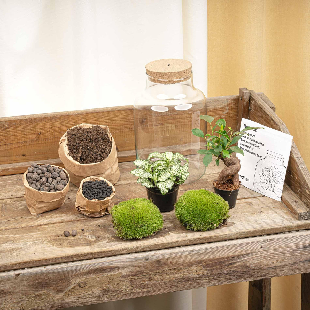 Flaschengarten DIY Bausatz – Terrarium Little Milky mit LED-Kork – Ø17cm x H25cm – Selbstversorgendes Mini-Ökosystem – Inkl. Moos, Pflanzen & Anleitung 