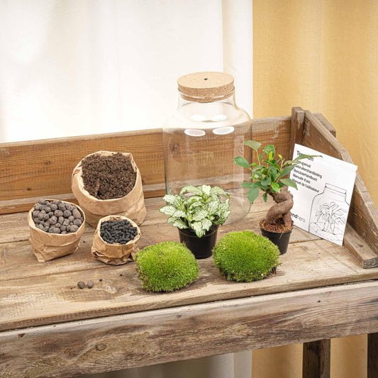 Flaschengarten DIY Bausatz – Terrarium Little Milky mit LED-Kork – Ø17cm x H25cm – Selbstversorgendes Mini-Ökosystem – Inkl. Moos, Pflanzen & Anleitung 