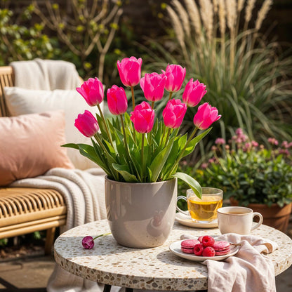 GreenboutiQ - Blumenzwiebeln - Tulp Triumph Pink - Farbe Rosa - 15 Stück - Zwiebelgröße 11/12 - XXL Pack 