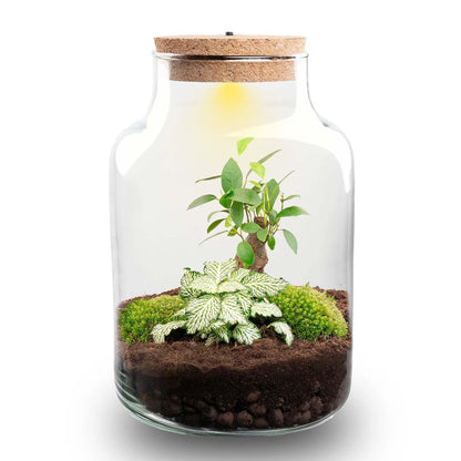 Flaschengarten DIY Bausatz – Terrarium Little Milky mit LED-Kork – Ø17cm x H25cm – Selbstversorgendes Mini-Ökosystem – Inkl. Moos, Pflanzen & Anleitung 