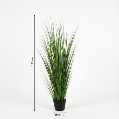Zwiebelgras Kunstpflanze 130cm – Moderne Deko Kunstpflanze – Pflegefreie Zimmerpflanze für Wohnzimmer Büro & Empfangsbereich - Oasis of Life