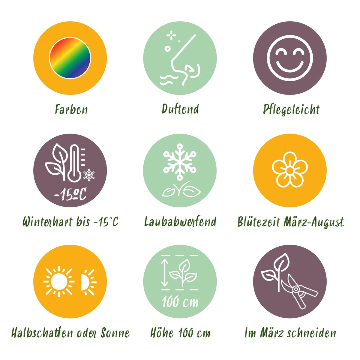 Staudenset – Duftende Blumen – 24 Stauden Ø11cm – Für ca. 3 m² – Bienenfreundlich & pflegeleicht – Verschiedene Farben & Blütezeiten – Ideal für sonnige Beete 
