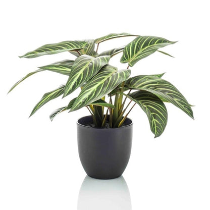 Calathea Zebrina – Korbmarante – Kunstpflanze – 42cm hoch – Schwarzer Topf Ø10–16cm – Realistisches Zebramuster – Pflegeleicht & dekorativ – Für Zuhause & Büro 