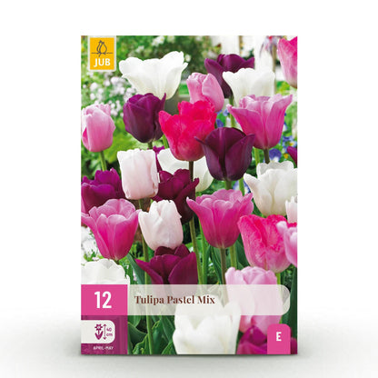 GreenboutiQ - Blumenzwiebeln - Tulp Pastel mix - Verschiedene Farben - 12 Stück - Zwiebelgröße 11/12 - XXL Pack 