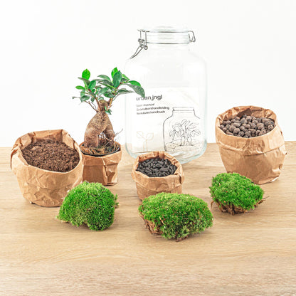 Flaschengarten DIY Bausatz Ficus Ginseng Bonsai – Terrarium Ø18cm x H28cm – Selbstbewässerndes Mini-Ökosystem – Do-It-Yourself Pflanzterrarium mit Moos & Zubehör 