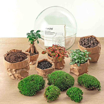 Flaschengarten DIY Bausatz Dome XL – Terrarium Ø30cm x H30cm – Selbstbewässerndes Pflanzterrarium mit Ficus Ginseng Bonsai & Fittonia – Do-It-Yourself Mini-Ökosystem 
