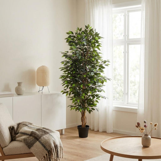 Ficus Benjamina Kunstpflanze 180cm Pflegefreie Zimmerpflanze für Wohnzimmer Büro & Empfangsbereich