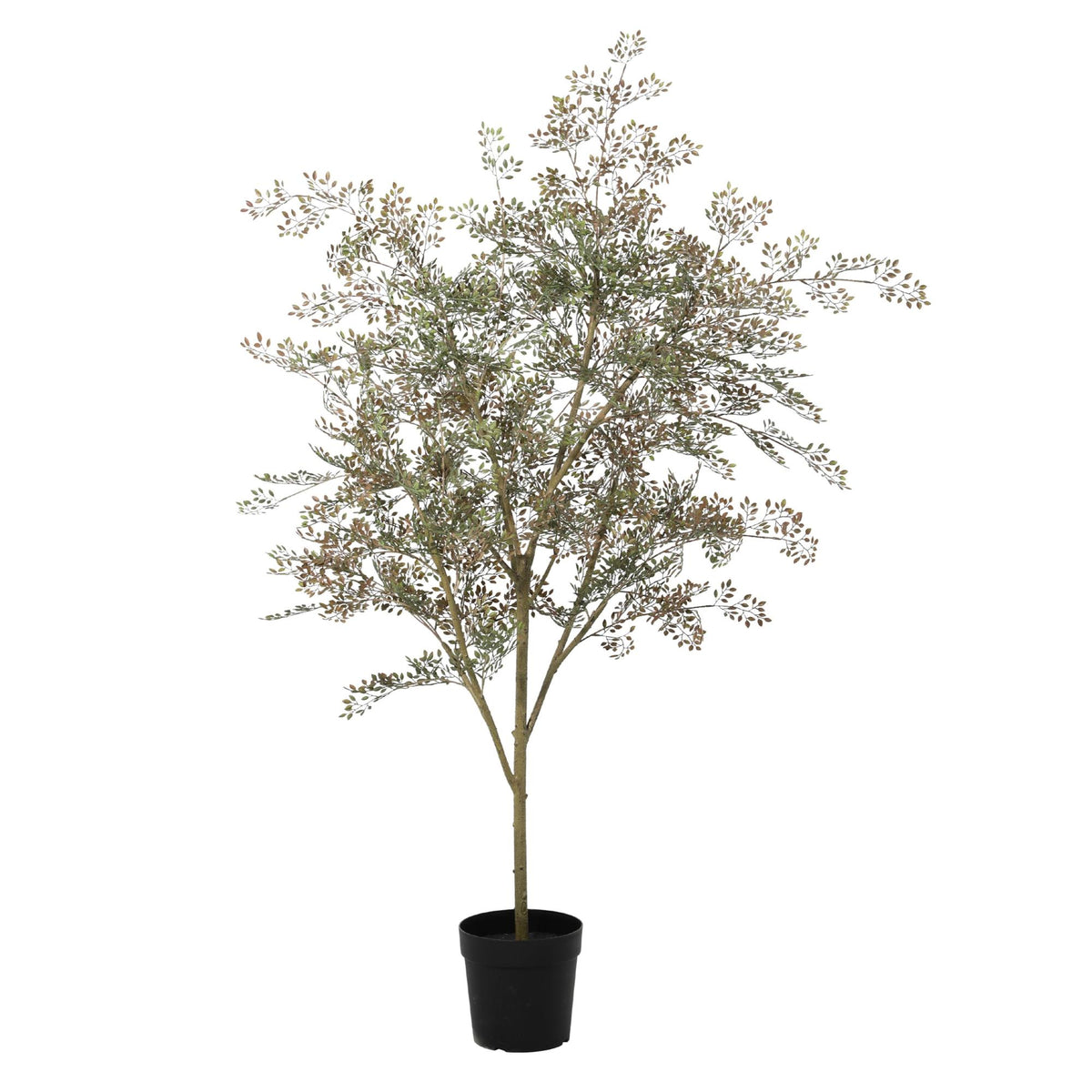 ARTIFICIAL Bucida - 165cm 