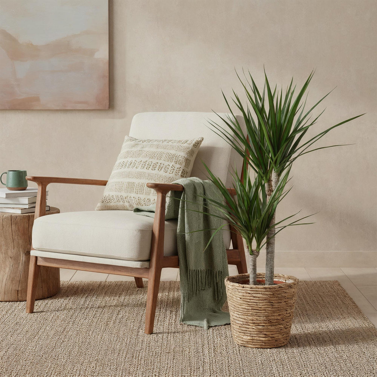 Green boutiQ - Zimmerpflanzen - Dracaena Marginata - Drachenblutbaum - Geringer Pflegeaufwand - mit Korb - Grün - 1 Pflanze - Topf 21cm - Höhe 90-100cm 