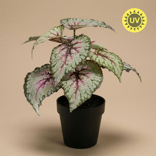 Begonie Kunstpflanze – ca.26cm – UV-beständig – Künstliche Blühpflanze im Topf – Pflegefreie Deko für Innen & Außen Balkon Terrasse & Fensterbank - Oasis of Life
