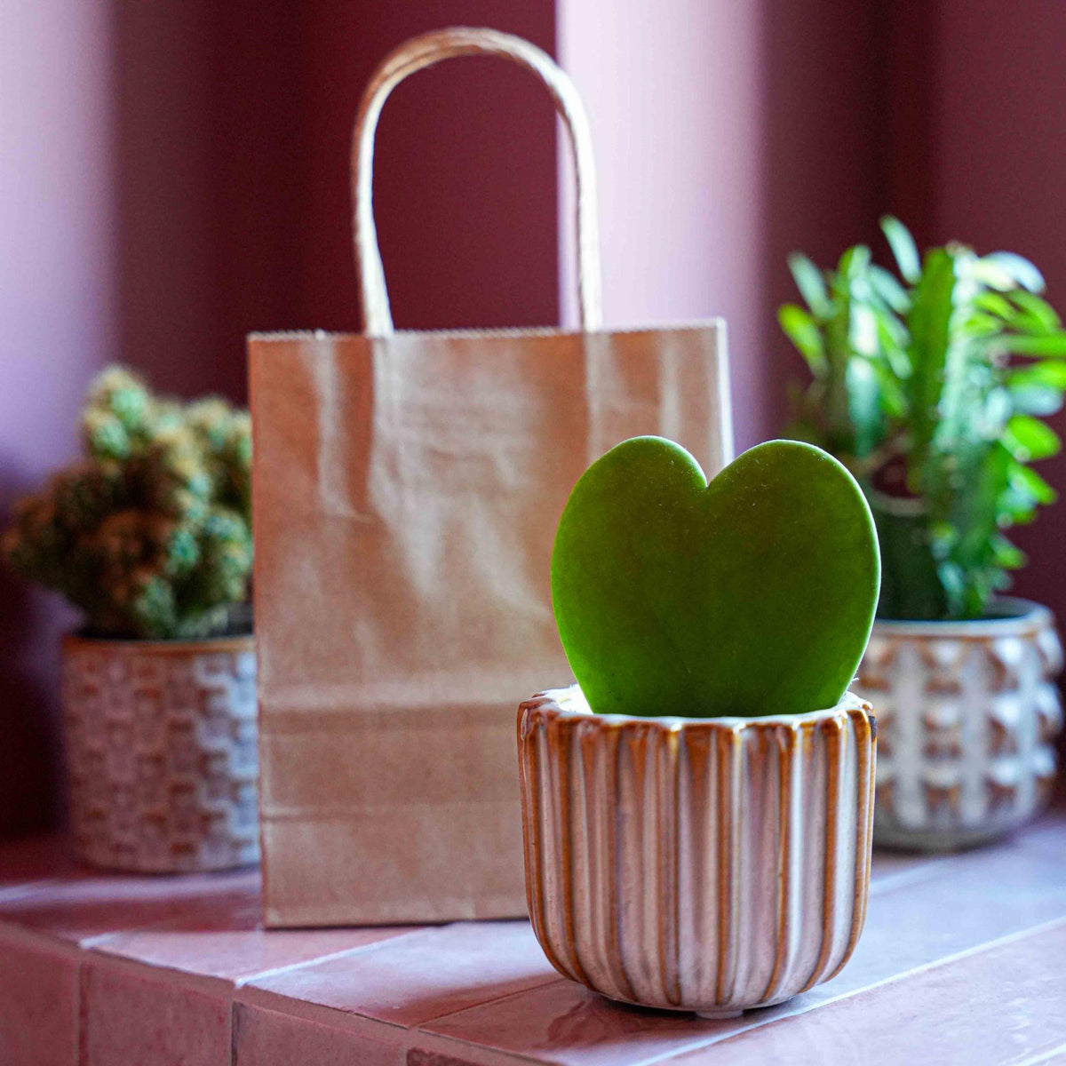 Cadeauset - Love Set - Hartjesplant, pot, wenskaart & geschenktasje 