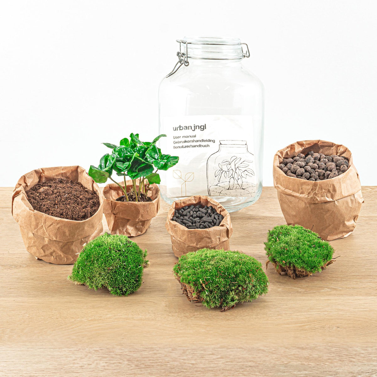 Flaschengarten Coffea Arabica – DIY Bausatz Terrarium – ↕28cm – Do-It-Yourself Pflanzen-Set – Autarkes Mini-Ökosystem mit Kaffeepflanze & Moos – Für Wohnung & Büro 