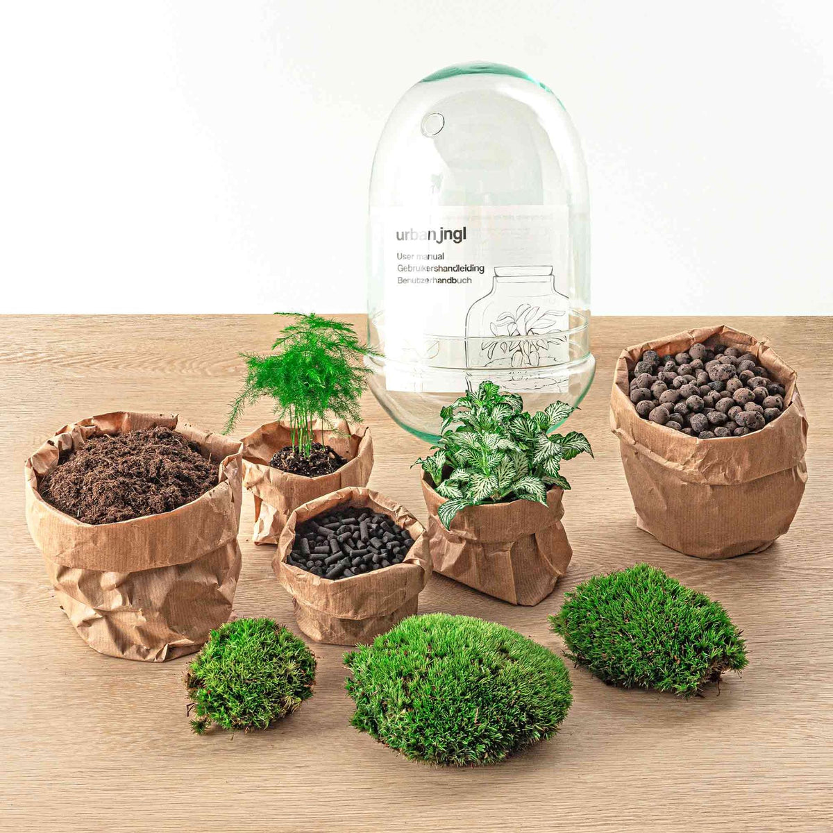 Flaschengarten Egg XL – DIY Bausatz Terrarium – ↕30cm – Do-It-Yourself Pflanzen-Set im Glas mit Korkdeckel – Autarkes Mini-Ökosystem – Inkl. Fittonia, Spargel & Moos – Für Wohnung & Büro 