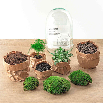 Flaschengarten Egg XL – DIY Bausatz Terrarium – ↕30cm – Do-It-Yourself Pflanzen-Set im Glas mit Korkdeckel – Autarkes Mini-Ökosystem – Inkl. Fittonia, Spargel & Moos – Für Wohnung & Büro 
