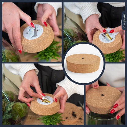Led kurk S  - Kurk met verlichting - LED lamp voor terrarium - 10,3 x 9 x 2,7 cm 