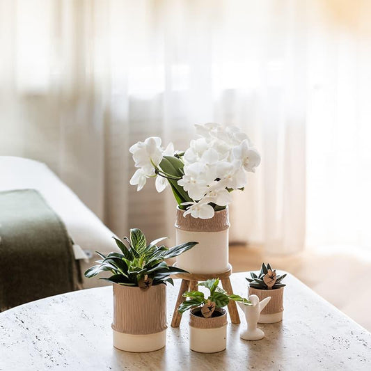 Kolibri Home | Bamboo Übertopf - Sand - Ø9cm 