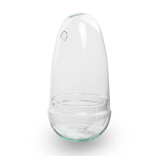 Flaschengarten Ei-Terrarium – Recyceltes Glas – ↑26cm x Ø12cm – DIY Pflanzenglas für Mini-Dschungel & Dekoration 