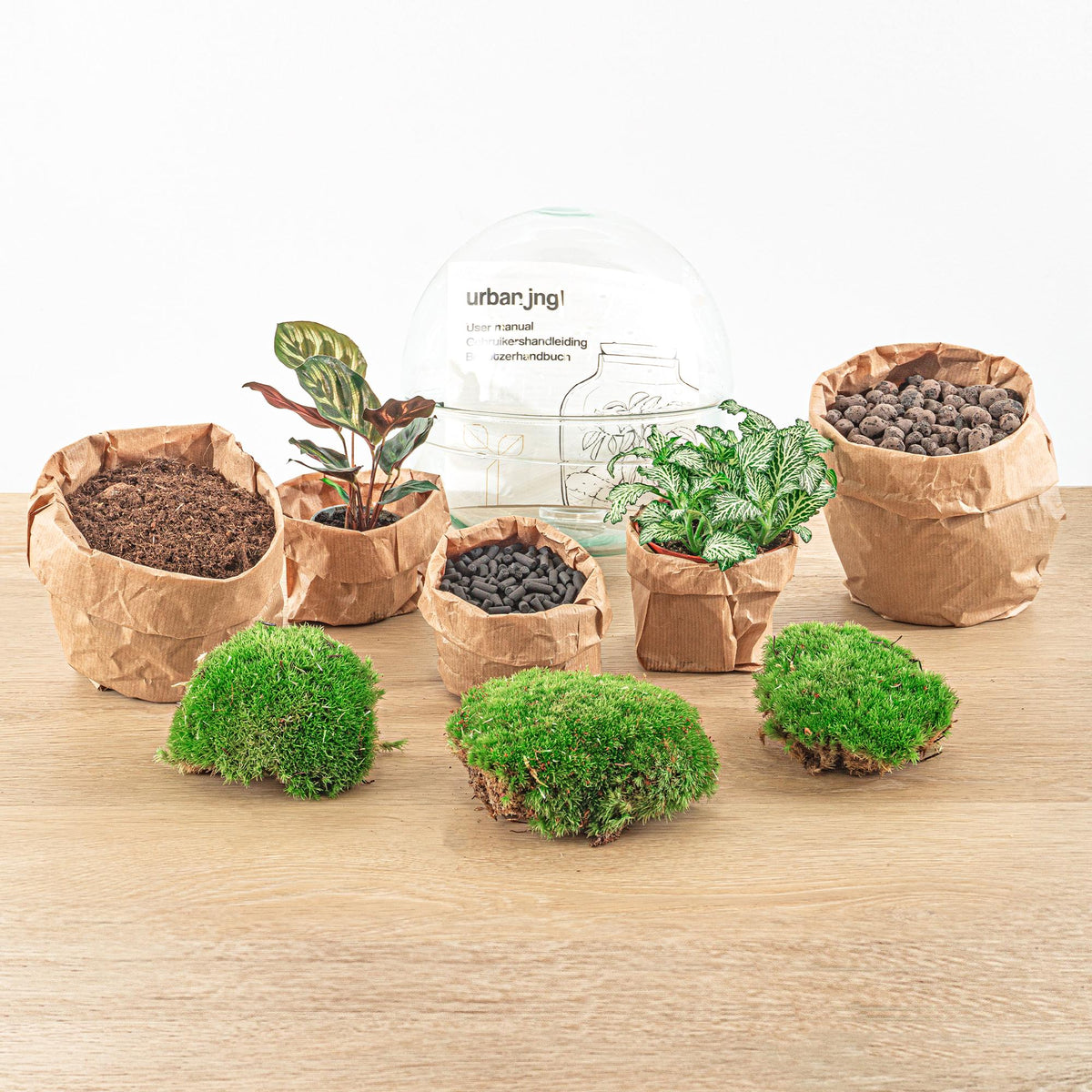 DIY Flaschengarten Set – Dome Glas – Ø20 cm x H20 cm – Mini-Biotop mit Pflanzen & Moos – Selbstversorgendes Pflanzterrarium – Inkl. Fittonia, Calathea, Moos & Zubehör – Pflegeleicht & dekorativ 