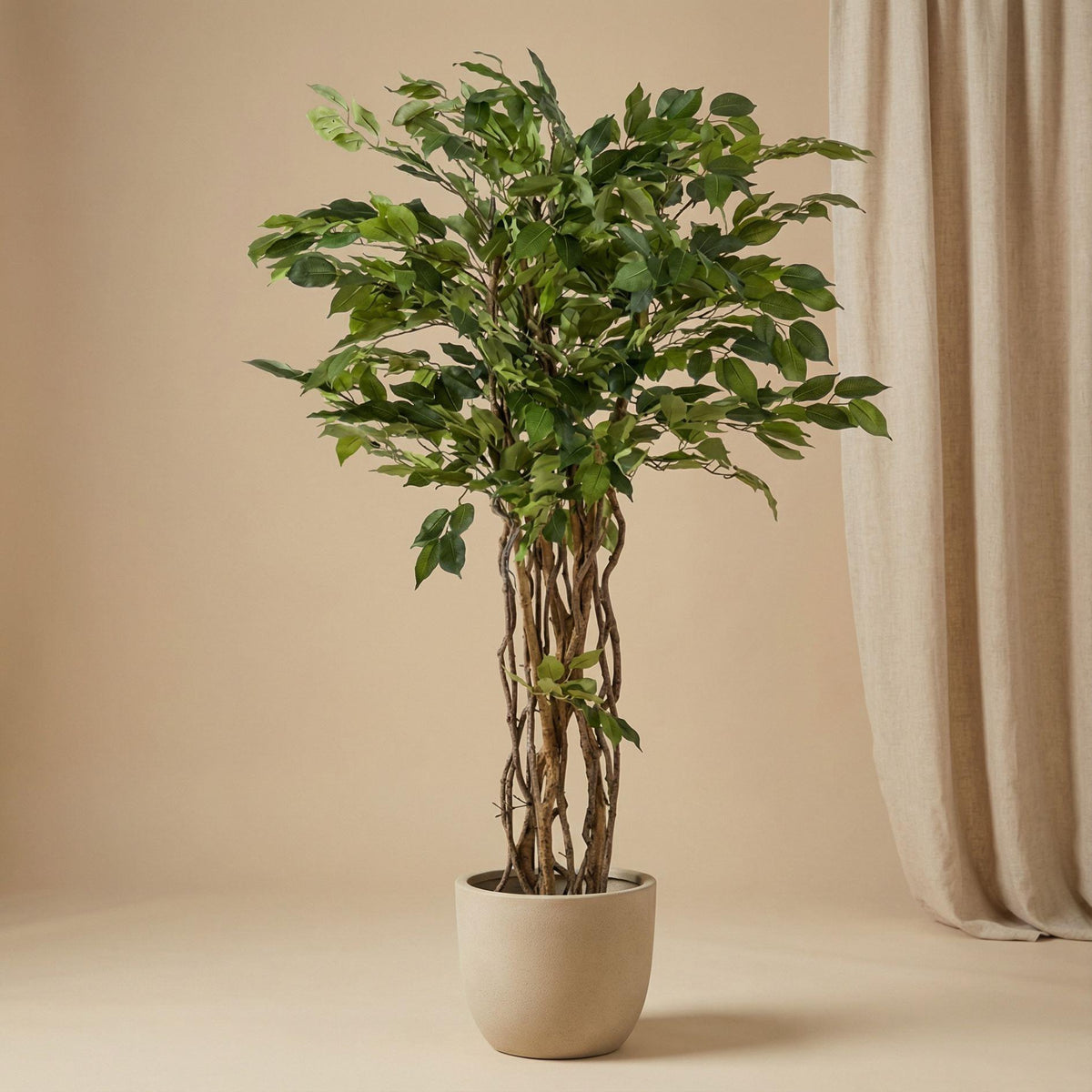Ficus Liana Kunstbaum – 140cm – Hochwertige künstliche Pflanze mit realistischer Blattstruktur – Pflegefreier Deko Baum für Wohnzimmer Büro & Empfangsbereich - Oasis of Life