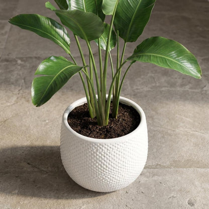 Topf Gabriel Rund Weiß Moderner Keramik Blumentopf D14cm
