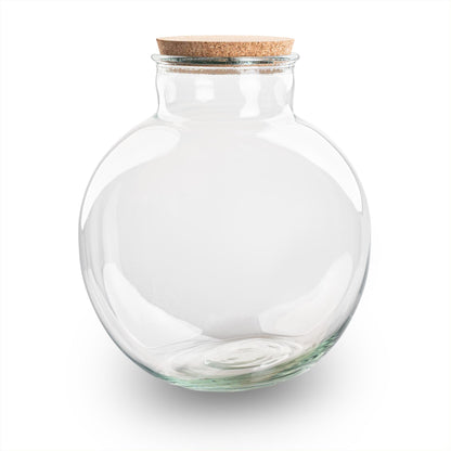 Terrariumflasche Bolder Bob – Ø30cm x 31cm – Glasflasche mit LED-Korken – Recyclingglas Dekoflasche für Pflanzenterrarium Flaschengarten DIY Indoor Deko 11L 