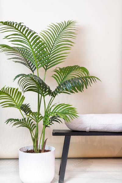 Kunstpflanze - Howea Forsteriana - 140 cm 