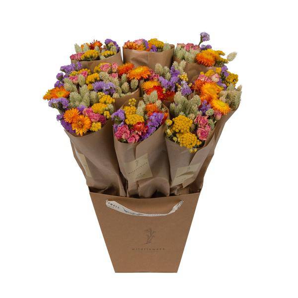 Trockenblumen Strauß Market More Multi – Getrocknete Blumen Deko – Handgebunden – Natürliche Dekoration – Langlebig & Pflegeleicht – 50cm 