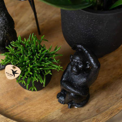 Ornament Sitzender Affe – Schwarz – Dekofigur aus Polystone – 13cm hoch – Handgefertigte Skulptur – Für Zimmerpflanzen & Interieur – Dekoration Wohnzimmer 