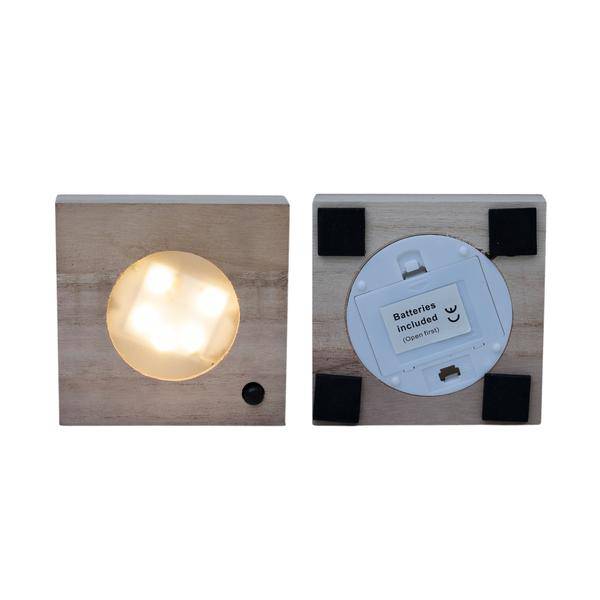Clusia Hydroponie-Pflanze im Samoa Glas mit LED-Beleuchtung – Ø4cm × 10cm – Grünes Blattdekor für Innenräume – Pflegeleicht & Wasserbasiert 