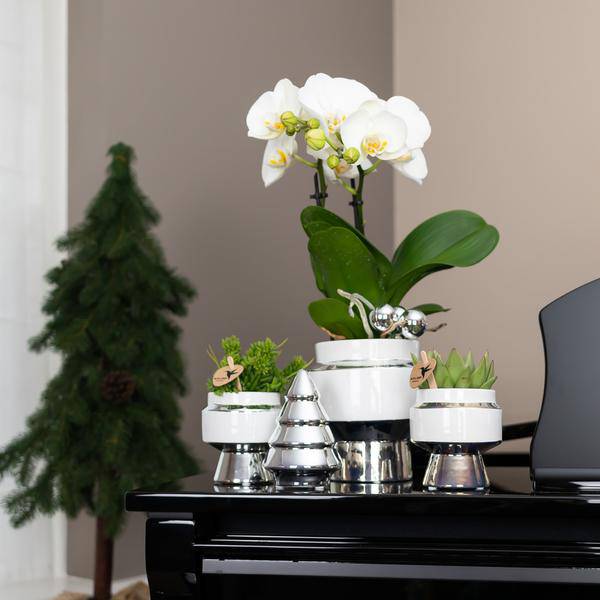 Le Chic Blumentopf Weiß mit silbernen Details – Dekorativer Keramiktopf Ø9cm – Eleganter Ziertopf für Orchideen & Grünpflanzen 