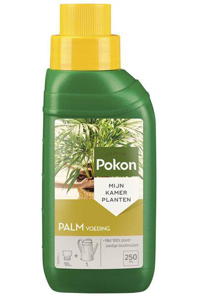 Palmen Pflanzennahrung - 250ML 