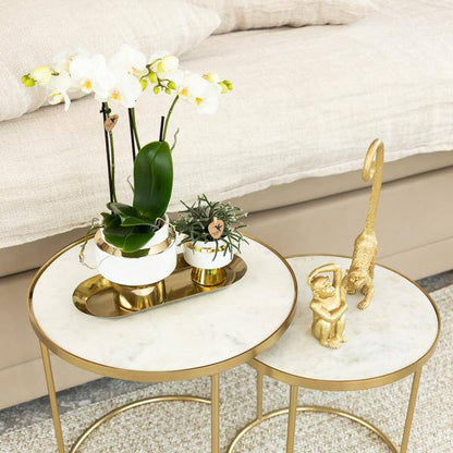 Ornament Dekoskulptur Sitzender Affe – Gold – Handgefertigte Polystone-Figur – 13cm – Verspieltes Dekoaccessoire für Zuhause und Pflanzensets 