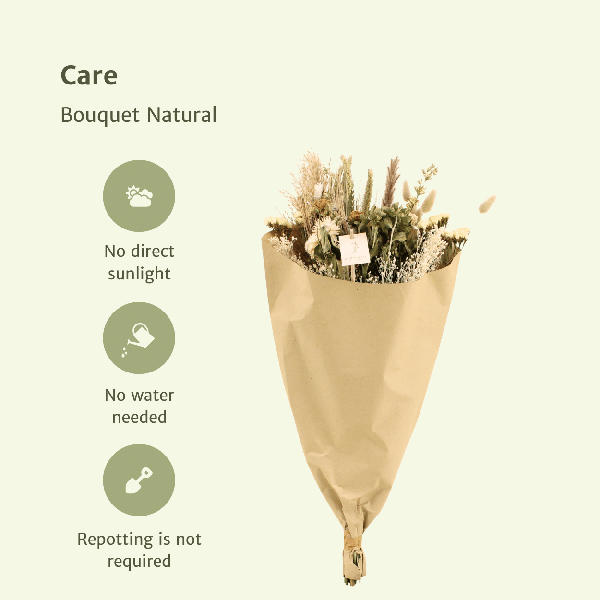 Trockenblumen Feldblumenstrauß – Natürlich – Ø25cm – Höhe 60 cm – Deko für Innenräume – Natürliche Beigetöne & Brauntöne – Nachhaltige Raumdekoration 