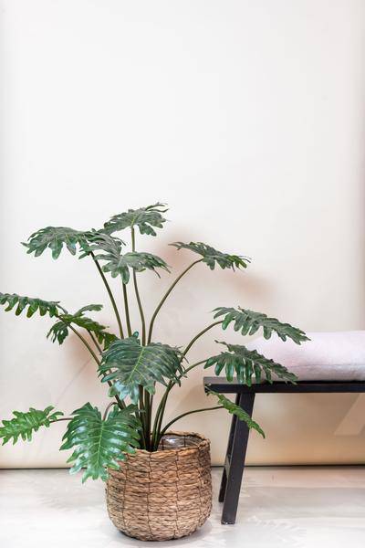 Kunstpflanze - Philodendron - 105 cm 