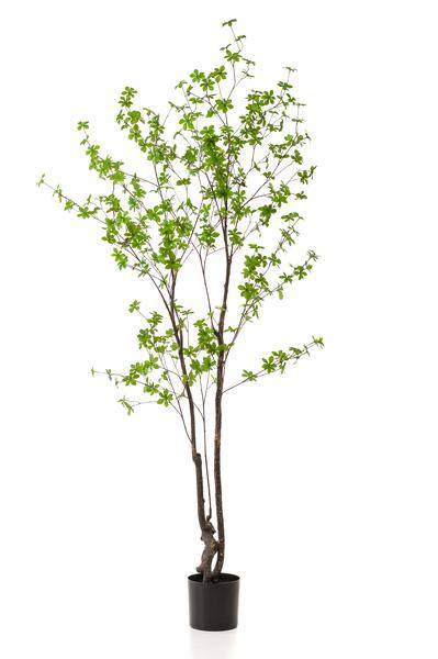 Kunstpflanze Tropaeolum speciosum – Ostindische Kirsche – 210 cm – Realistischer Kunstbaum – Pflegefrei – Für Büro, Wohnzimmer & Wintergarten – Dekobaum mit Natur-Look 