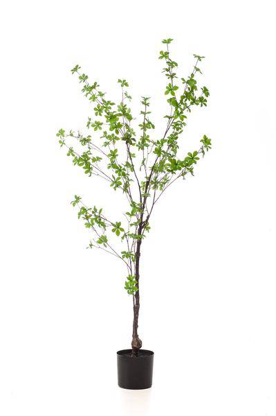 Kunstpflanze - Tropaeolum Speciosum - Ostindische Kirsche - 150 cm 