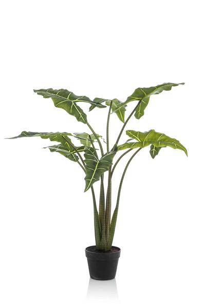 Kunstpflanze - Alocasia Frydek - 120 cm 