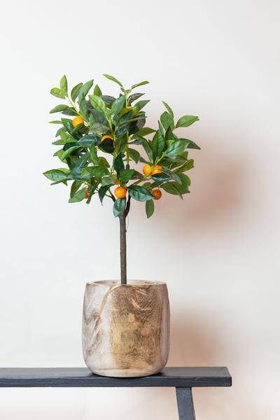 Kunstpflanze - Citrus Sinensis - Orangenbaum - 75 cm 