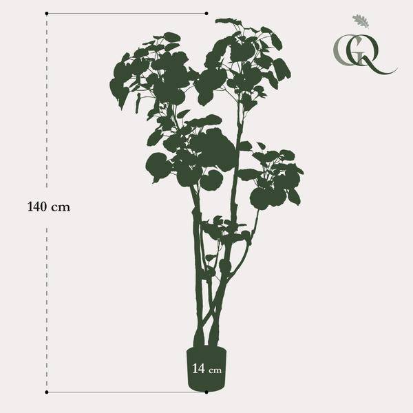 Kunstpflanze - Polyscias - Aralia - 135 cm 