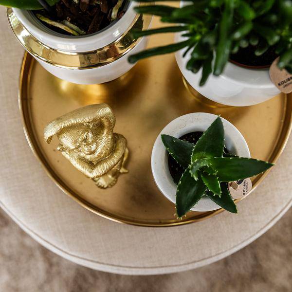 Le Chic Blumentopf – Weißer Keramiktopf mit goldenen Details – Ø6cm – Eleganter Ziertopf für Orchideen & Grünpflanzen – Glänzende Dekoration fürs Zuhause 