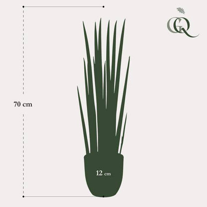 Kunstpflanze - Sansevieria Cylindrica - Frauenzunge - 70 cm 