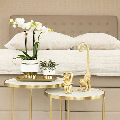 Ovales Tablett – Gold – Metalltablett 30x13cm – Dekoteller für Pflanzen, Töpfe & Wohnaccessoires – Stilvolle Ablage für Orchideen & Deko-Sets 